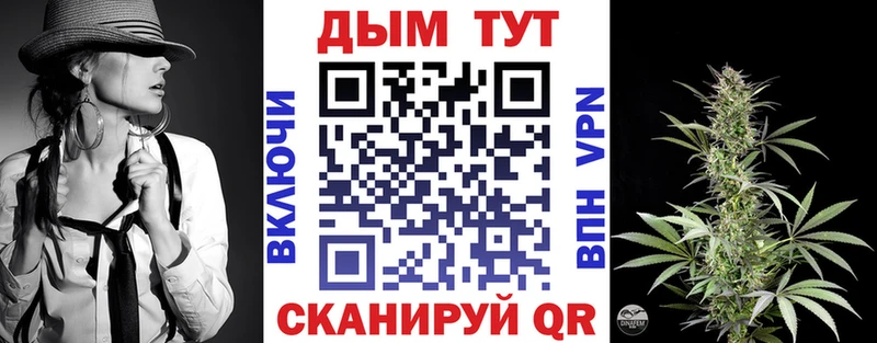 Конопля гибрид  Мончегорск 